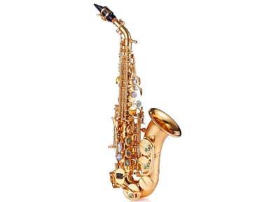 866小高音  Brass for Musical Instruments Curved Soprano view 2