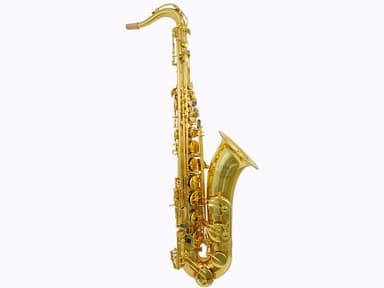 SP-880   Brass for Musical Instruments Tenor view 2