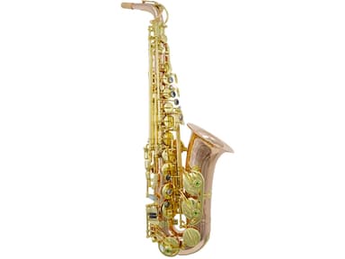 SP-6700  Imported  Phosphor Copper Alto view 2