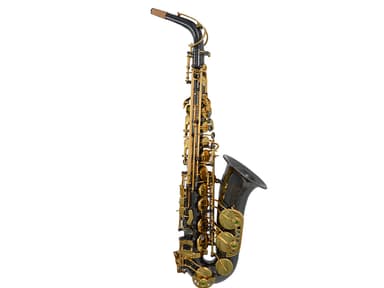SP-6600   Brass for Musical Instruments Alto view 5