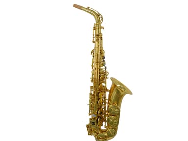 SP-6600   Brass for Musical Instruments Alto view 6