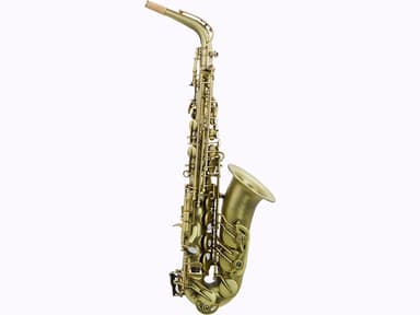 SP-6300   Brass for Musical Instruments Alto view 3