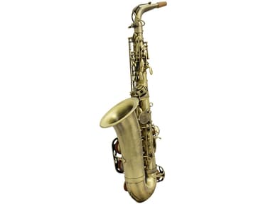 SP-6900  Imported K-gold Alto view 2